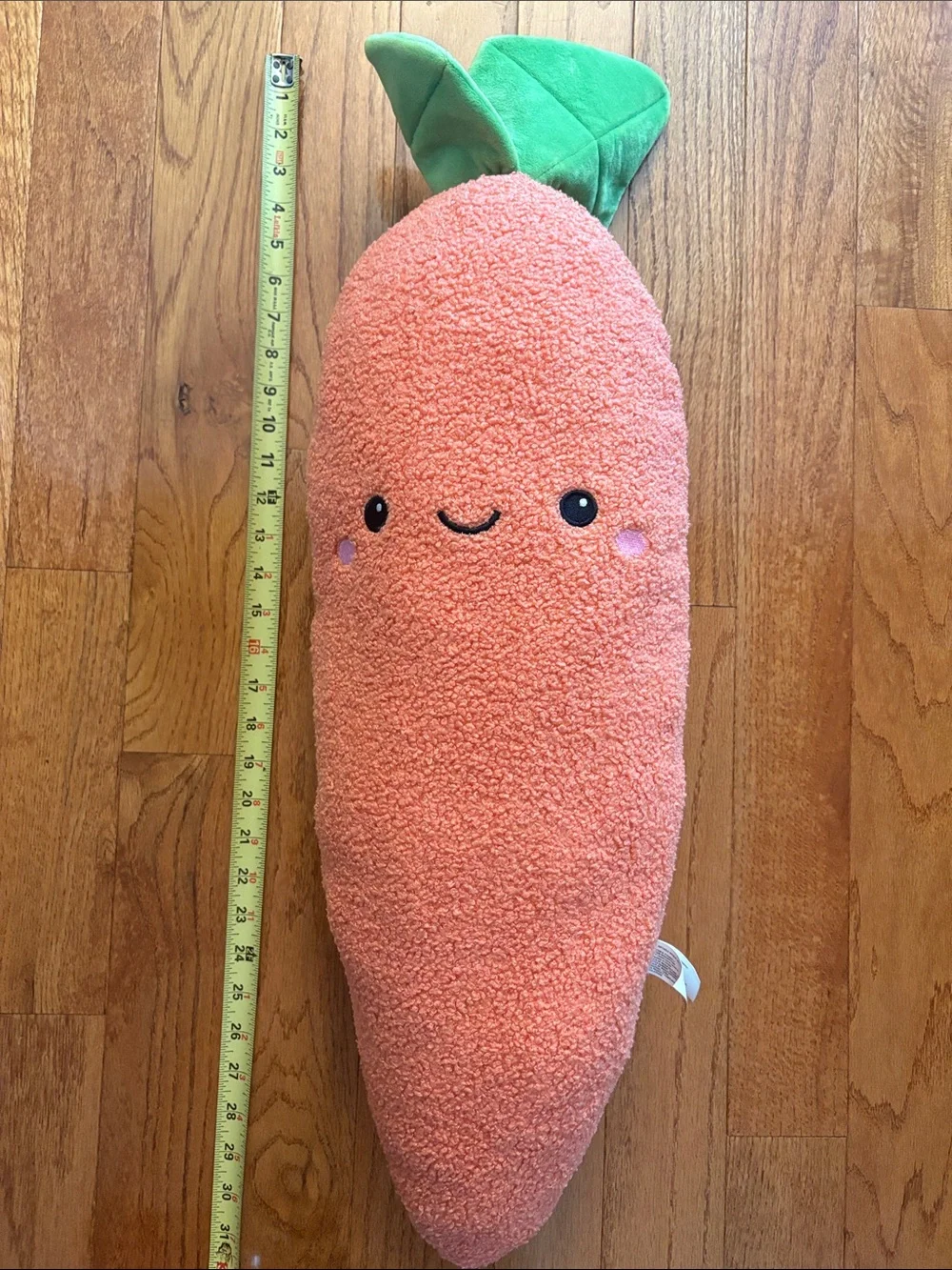 Giant carrot dog toy